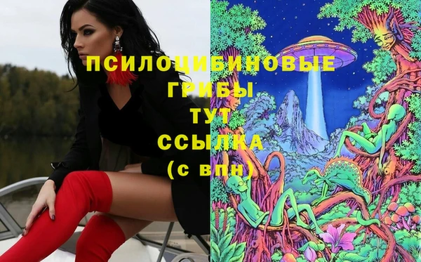гидропоника Горняк