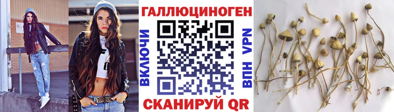 Псилоцибиновые грибы ЛСД  закладка  kraken ONION  Зеленоградск 